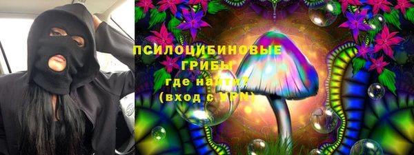 PSILOCYBIN Аркадак